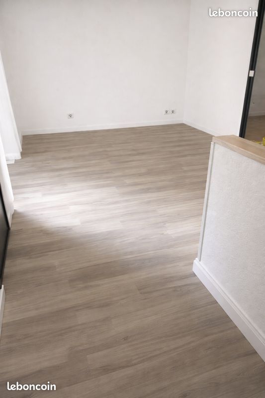 Appartement 1 pièce 45 m² · à Rive-de-Gier · 45 m² · 600 €/mois