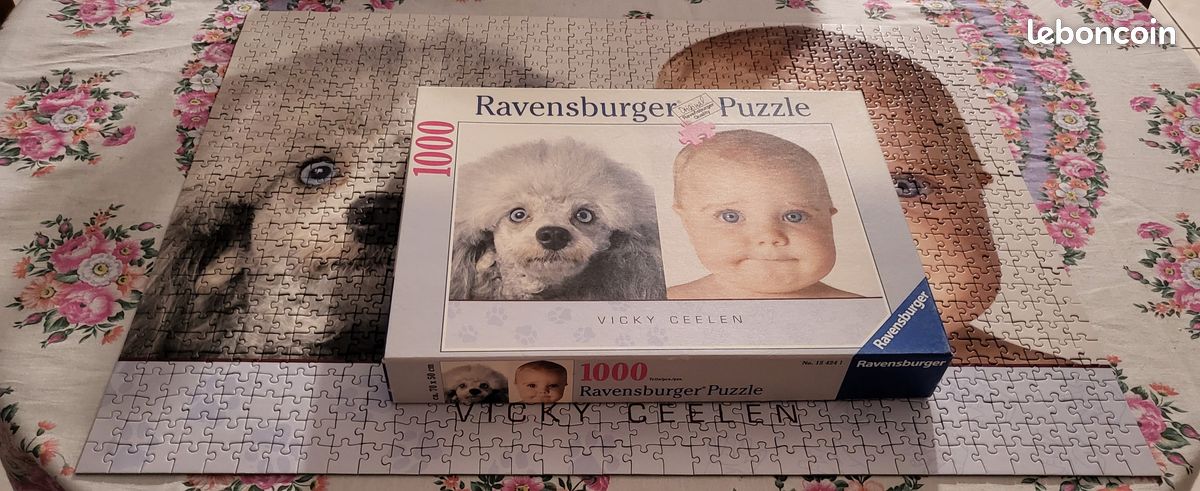 Puzzle 1000 pièces Complet (image 2)
