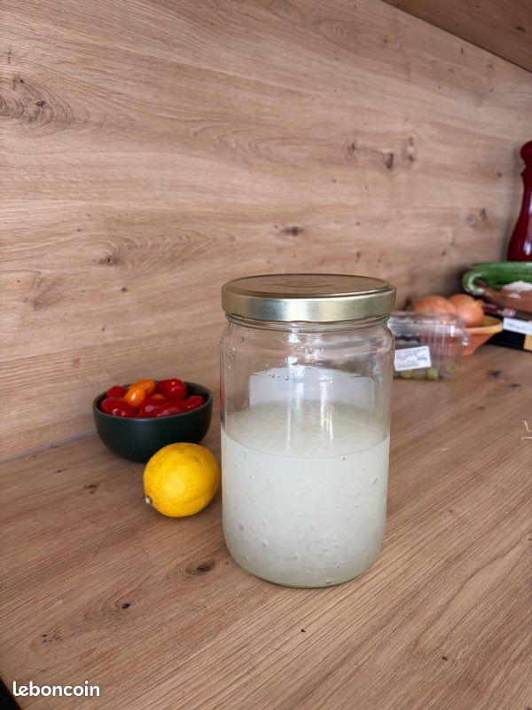 Grains de kefir (image 2)