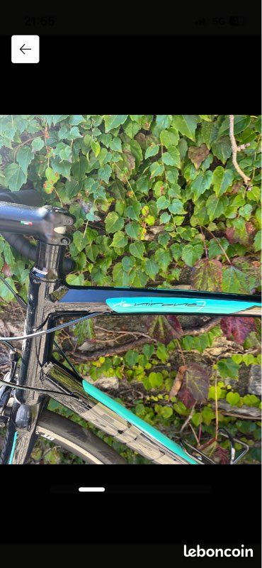 Bianchi Via Nirone 7 (2020) - Shimano Sora - Roue Dt Swiss PR 1600 (image 2)