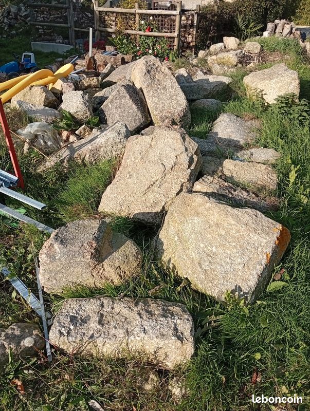 Roche (image 1)