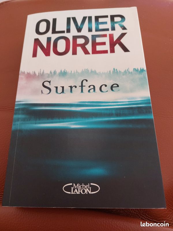 Olivier Norek surface (image 1)