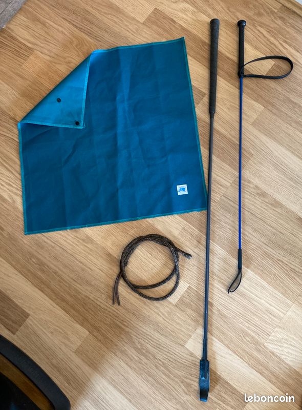 AJ Tack 10 pieds corde de plomb en coton avec clapet de