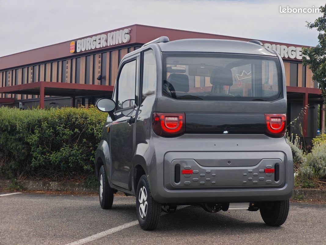 🚗 Voiture sans permis électrique neuve dès 3 990  – Colomiers / Blagnac (image 2)