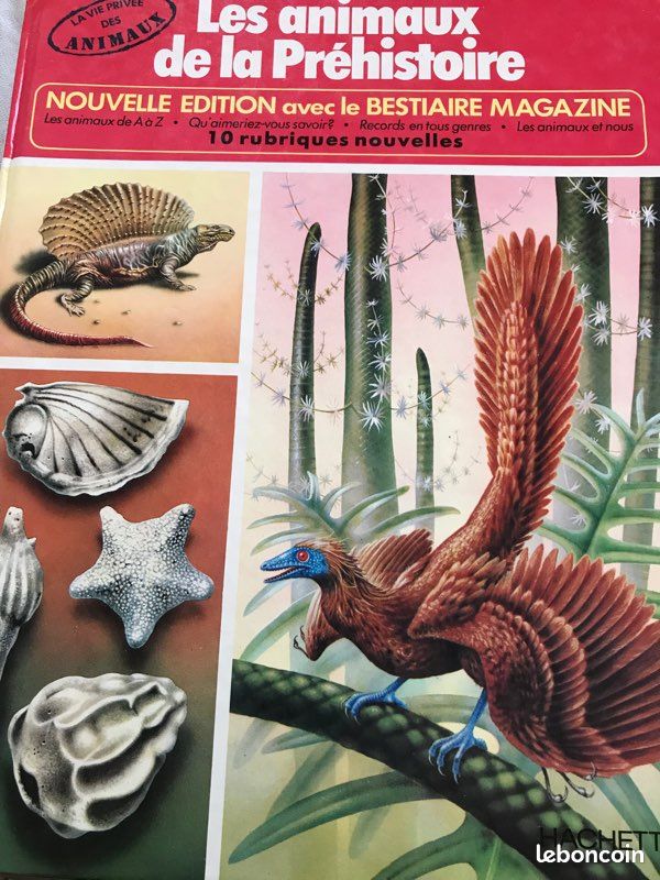 Les animaux de la préhistoire (image 1)