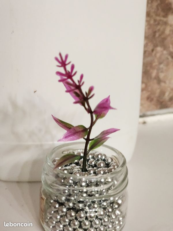 Plante artificielle pour décoration (image 3)