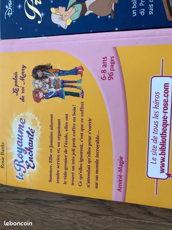 Lot de livres pour filles de princesse (image 5)