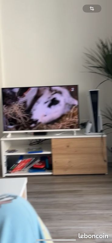 Meuble TV blanc / bois (image 2)