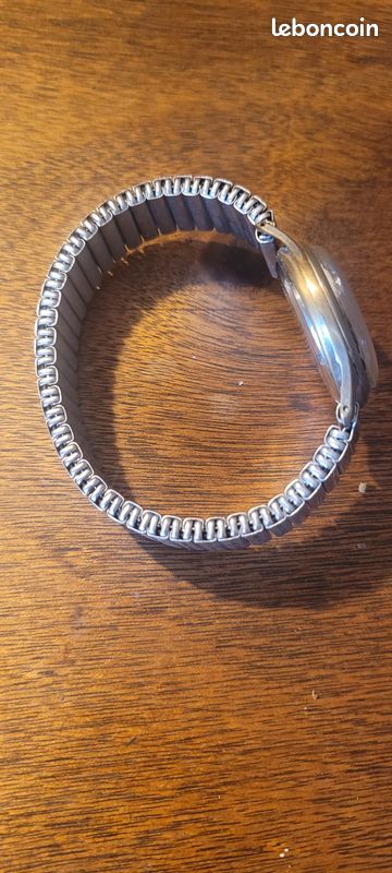 Montre erec 17 rubis (image 2)