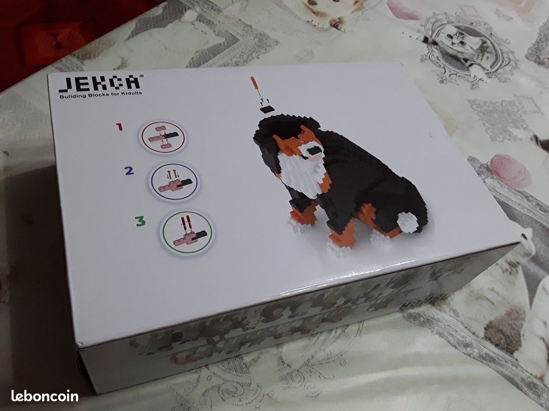 Vendita Bovaro Del Bernese da Privato a Perugia disponibili cuccioli di bovaro del bernese