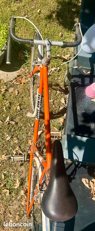 Vélo Salmon Sport Vintage (image 3)