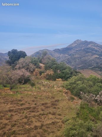 Terrain 36433 m² Banyuls-sur-Mer