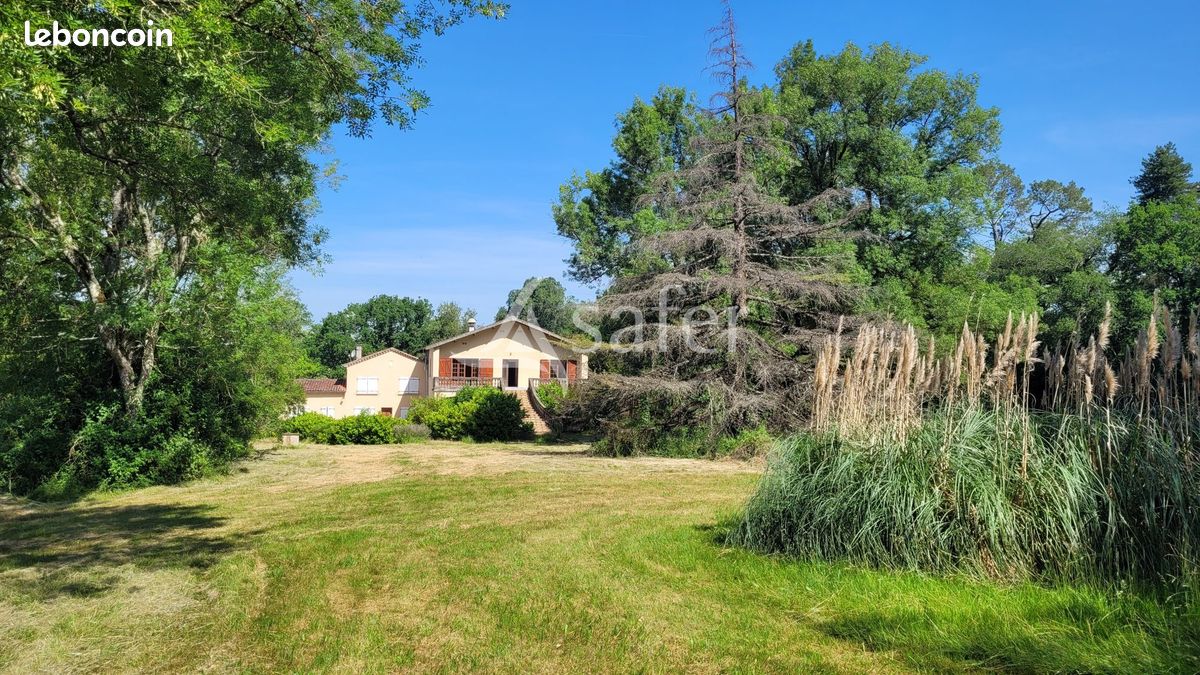 Propriété 290 m² Castres (image 4)