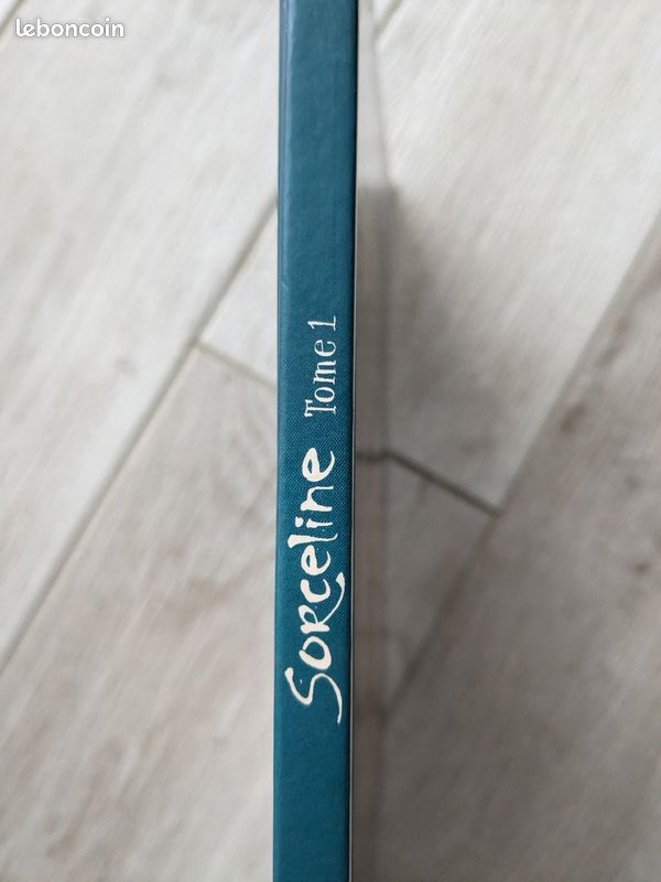 Sorceline tome 1 (image 2)