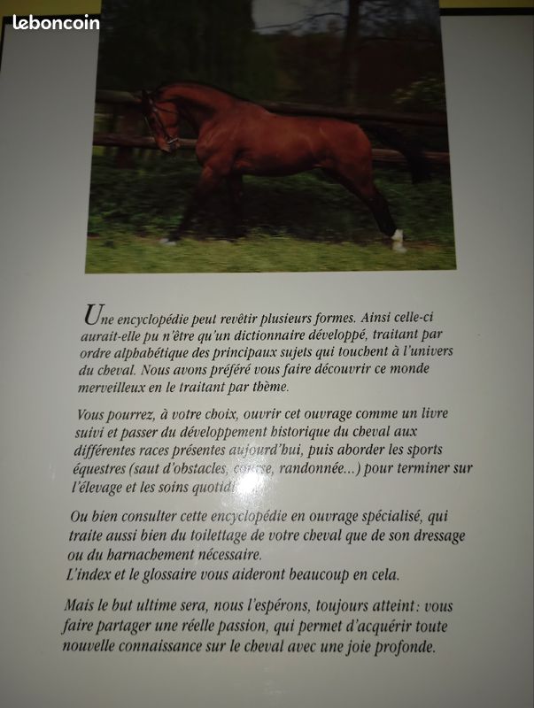 Livre encyclopédie du cheval neuf (image 2)
