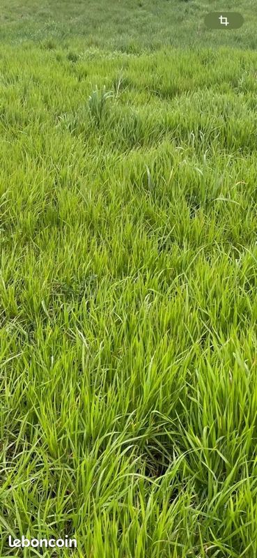 Terrain Baccon · 47 900 €