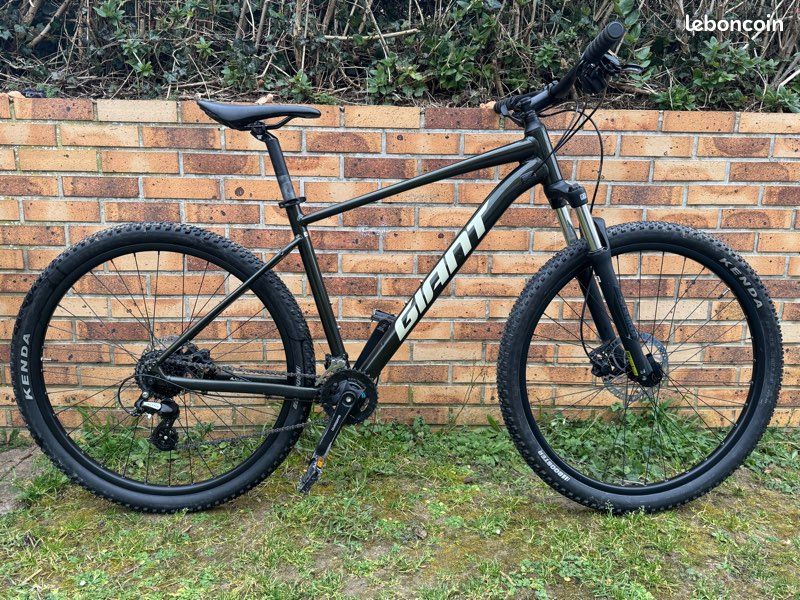 Vélo VTT GIANT Talon 29 pouces L Vélos