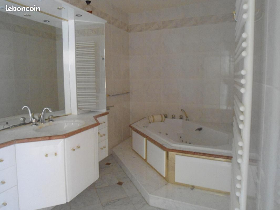 Propriété 11 pièces 320 m² - Saint-Georges-du-Bois 17700 (image principale 13)