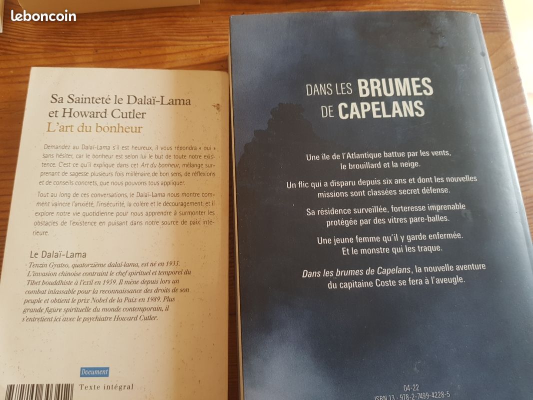 Livre roman,essai,philo,développement personnel (image 6)