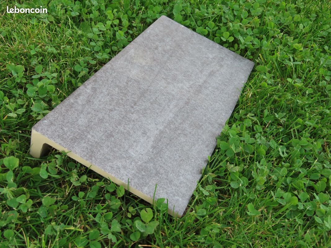 Nez de marche carrelage exterieur (image 2)