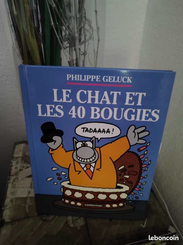 Le chat et les 40 bougies (image 1)