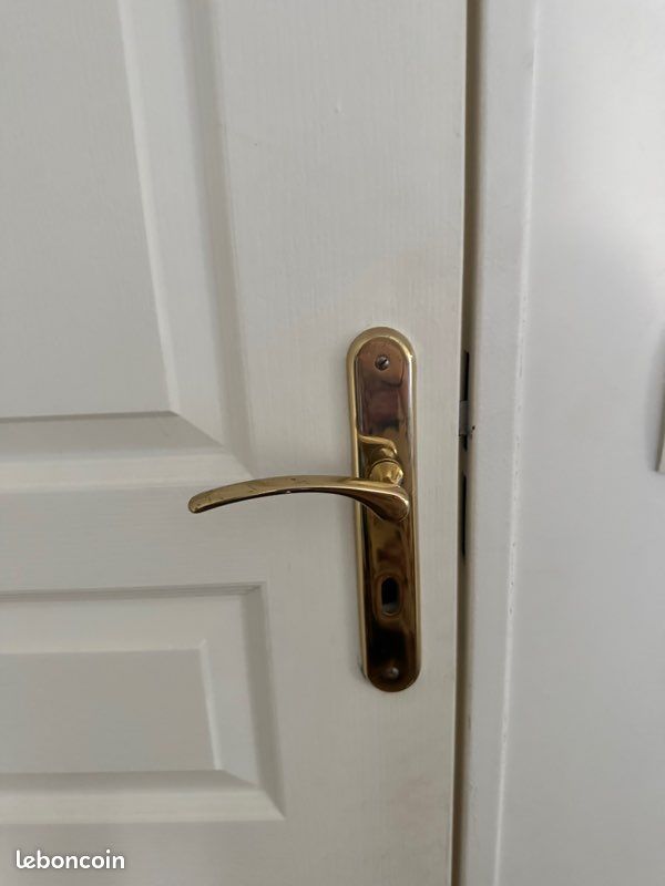 Poignées de Porte Dorée Inox (image 3)