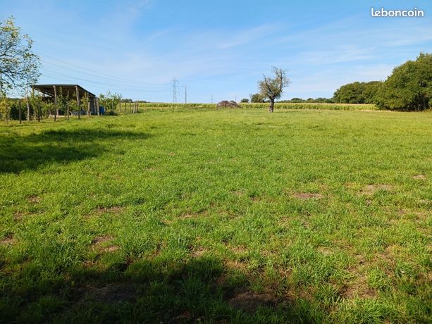 Terrain de loisirs 1625 m2 BOURG CHEVREAU