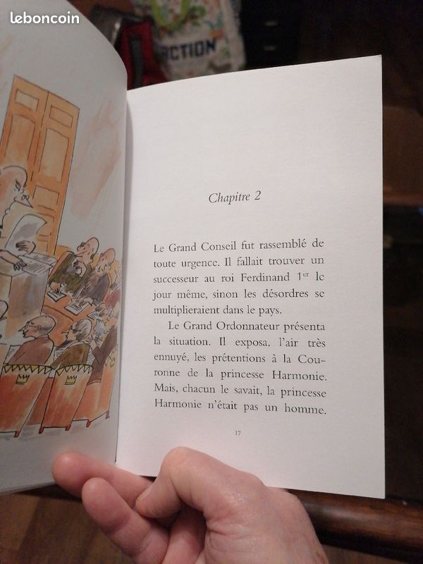 Les 3 vœux de la princesse (image 3)