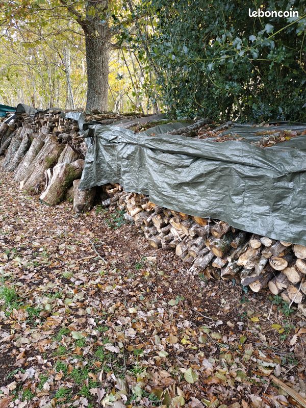 Bois de chauffage (image 3)