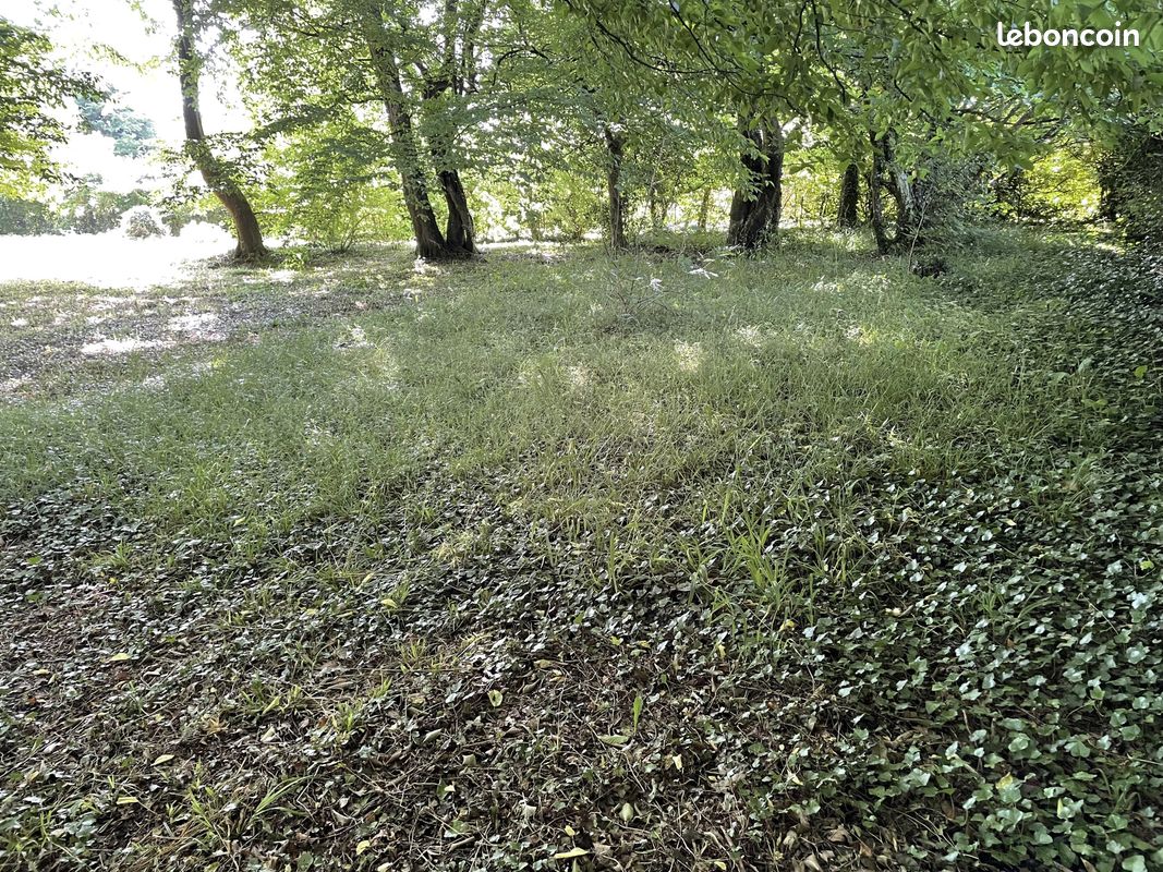 Terrain 1190 m² Sainte-Geneviève (image 4)