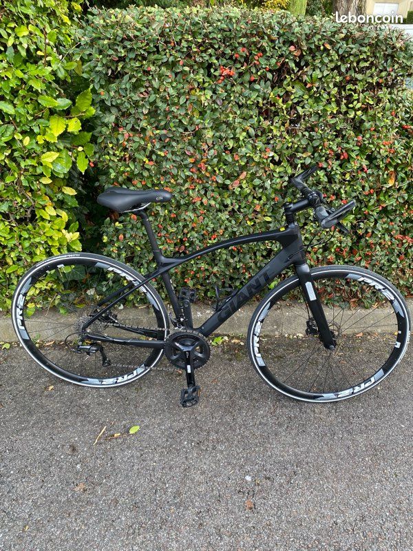 Vélo GIANT FASTROAD CARBON Vélos