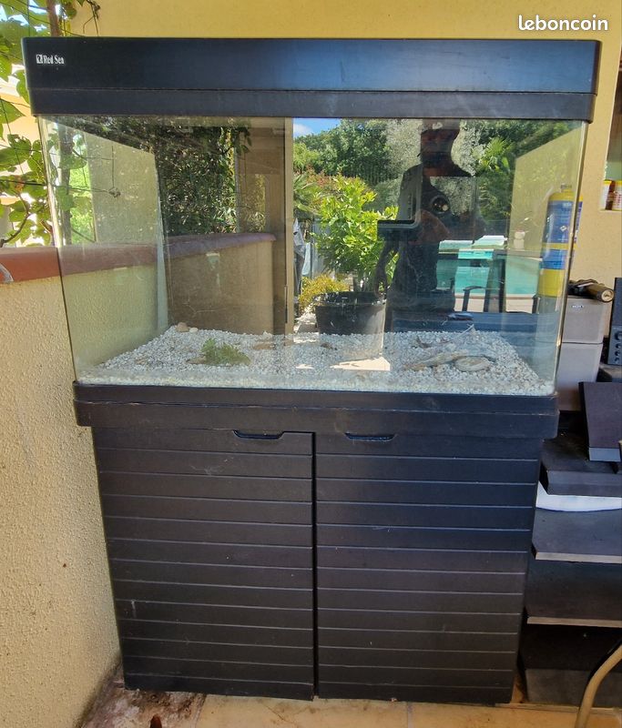 Red sea 250L (image 2)