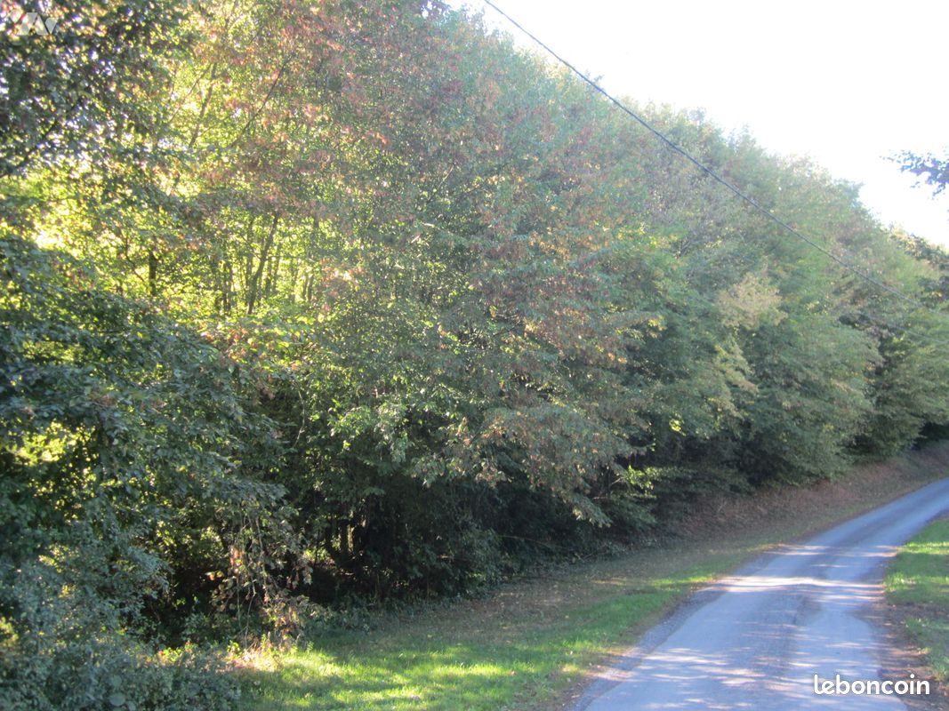 Terrain 4337 m² · à Résigny · 4 337 m² · 32 000 €