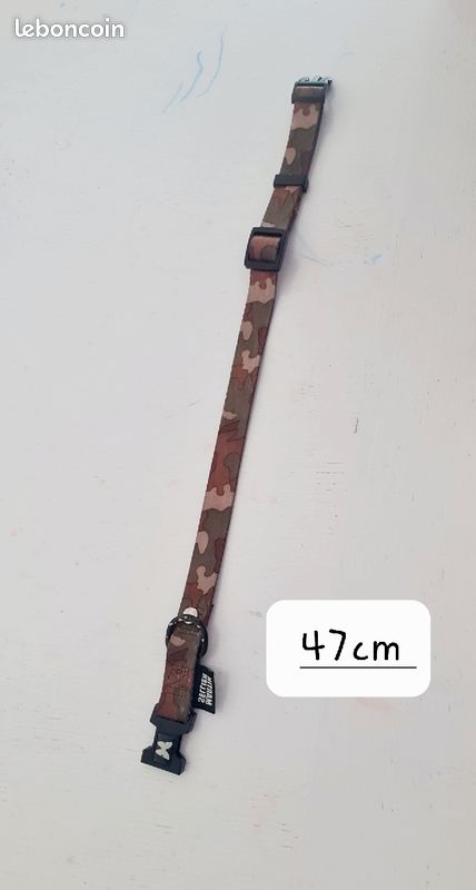 Collier chien (image 2)