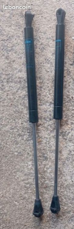 Verins de hayon ou de coffre r25 (image 2)