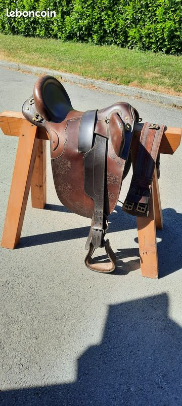 Nos 5 Meilleures Selle Australienne Cheval en France - Mars 2026