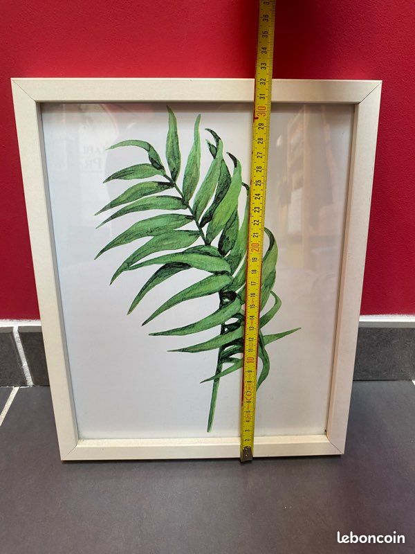 Cadres plantes exotiques (image 4)
