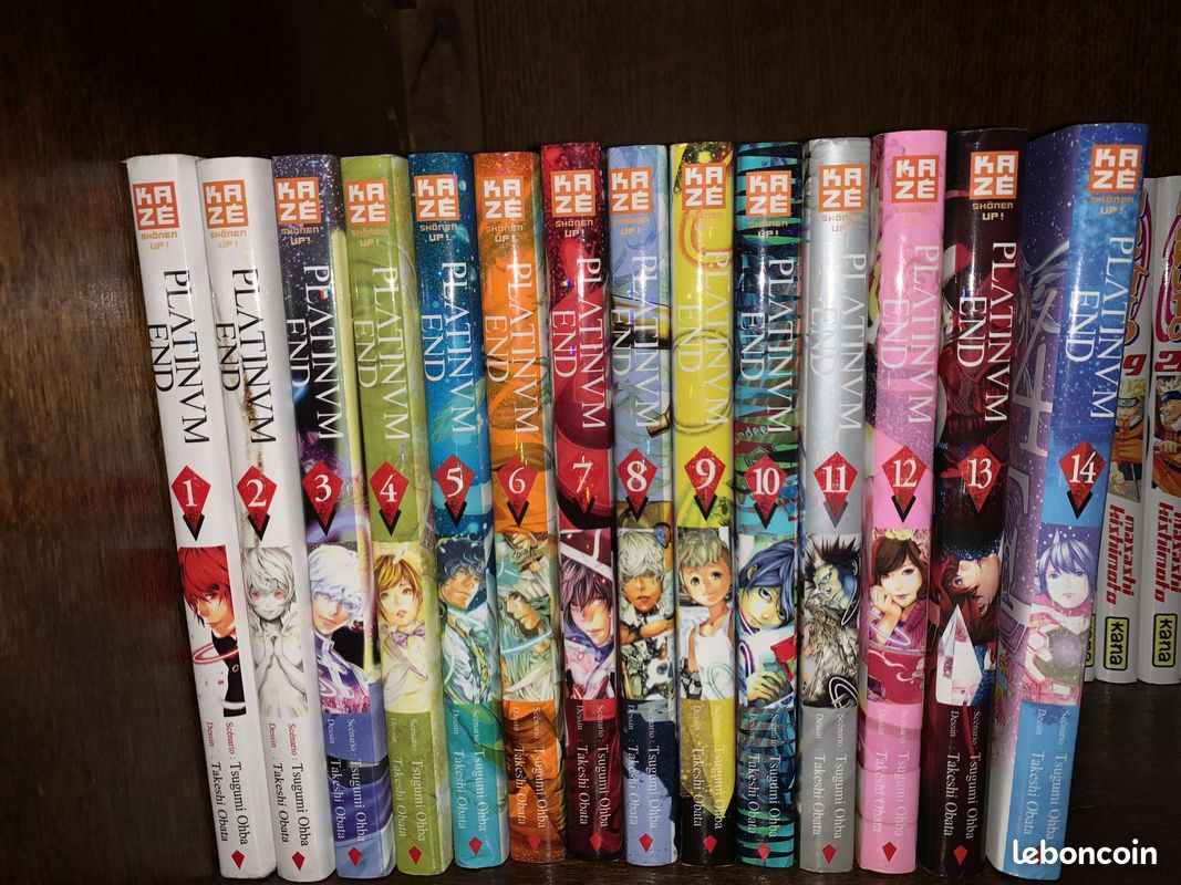 Manga platinium end intégrale (image 1)