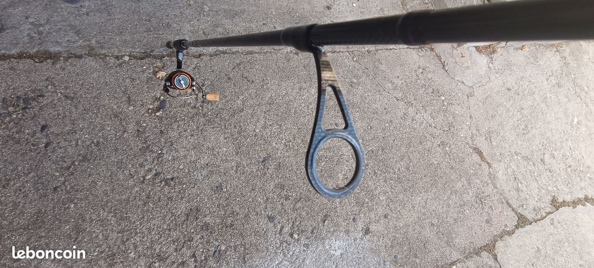Canne daiwa prorex (image 4)