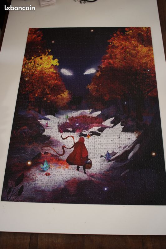 Puzzle 1000 pièces (image 1)
