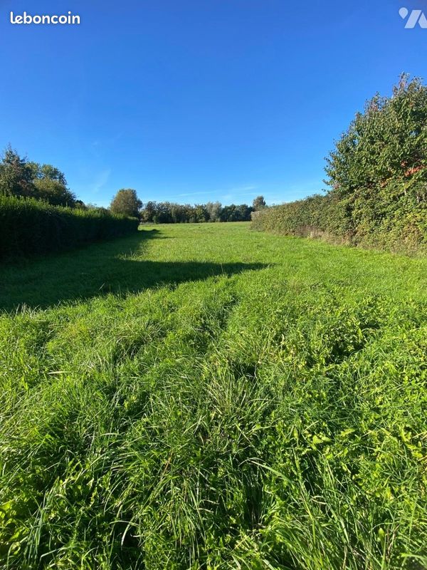 Terrain 6494 m² · à Andres · 6 494 m² · 95 400 €