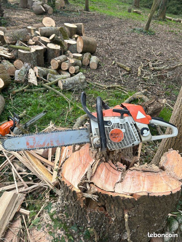 Tronconeuse (image 1)