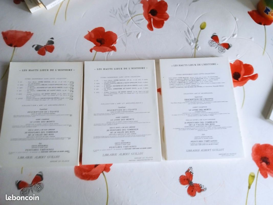 9 livres les vielles chroniques de lyon albert champdor tres bon etat60 euros (image 6)