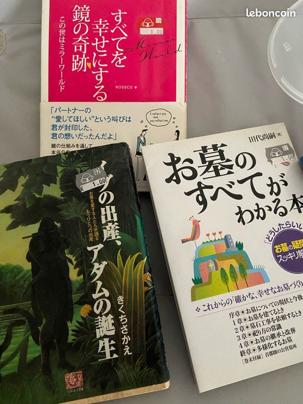 Livre en VO japonais (image 1)