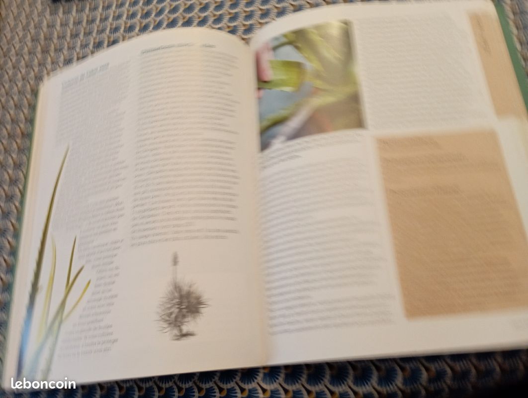 Cultiver et utiliser les plantes médicinales, par Rosemary Gladstar (image 3)