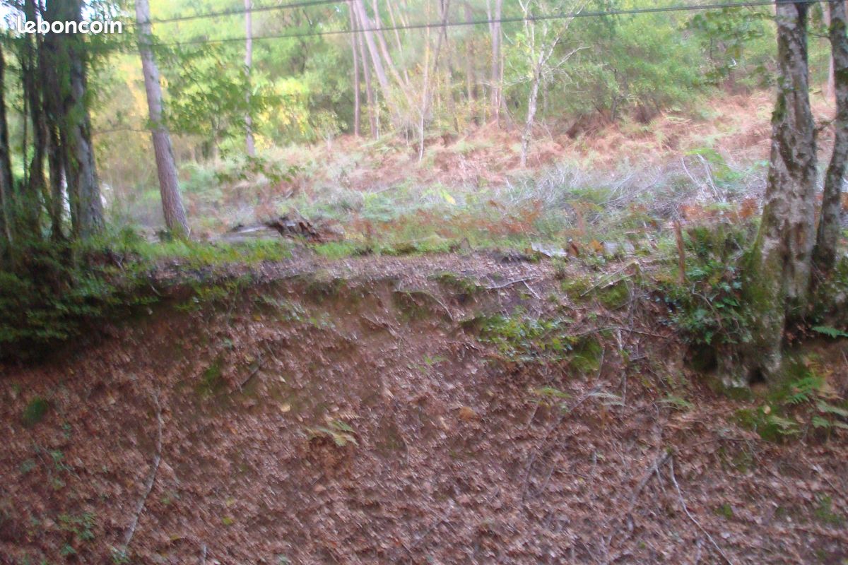 Terrain à vendre Terrasson-Lavilledieu · 20 000 €