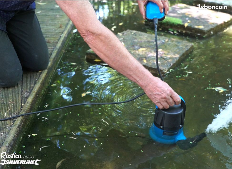 Pompe vide cave plastique 250W eau claire (image 2)