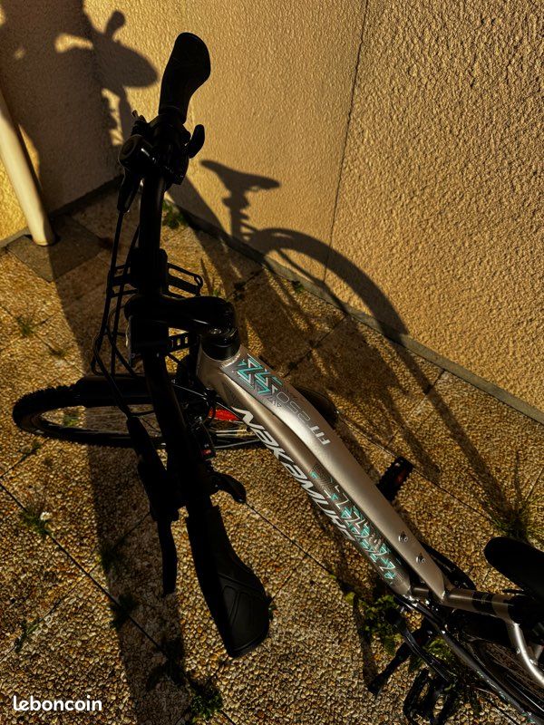 Vélo nakamura fit 250 état neuf (image 2)