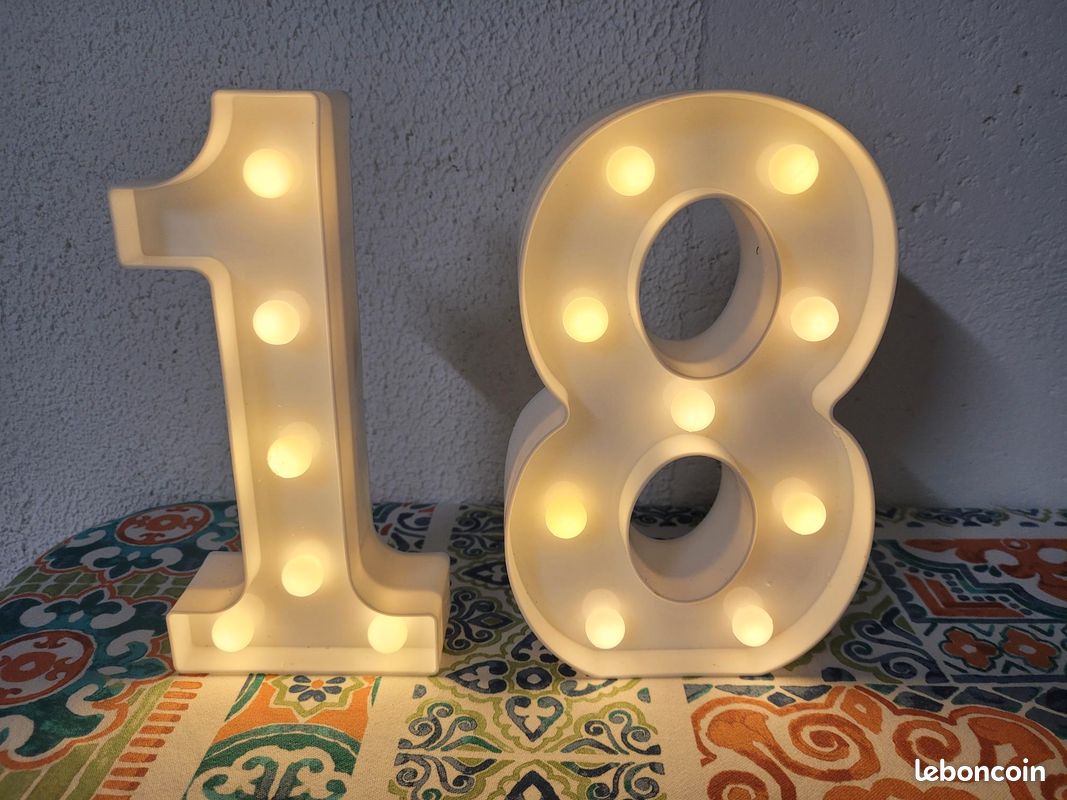 Lot decoration 18 ans tbe (image 3)