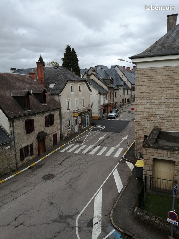 A louer Studio meublé de 27 m² (26 carrez), au calme et très lumineux, vue dégagée - Ussel 19200 (image principale 9)